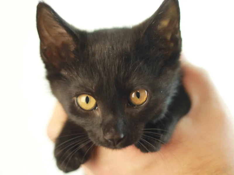 Rhodey  MEET ME thumbnail 2