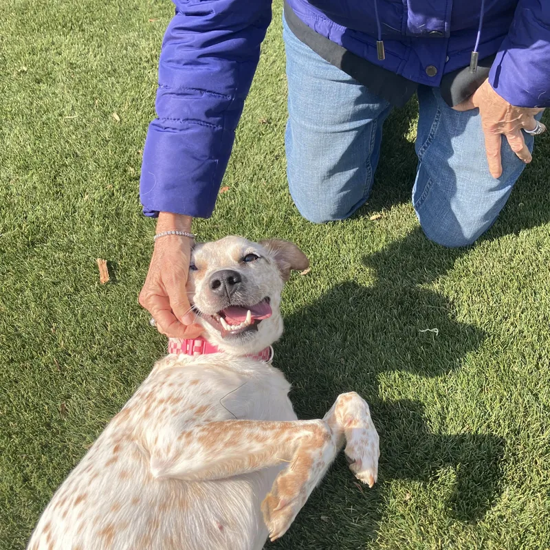 Angel Ann thumbnail 4