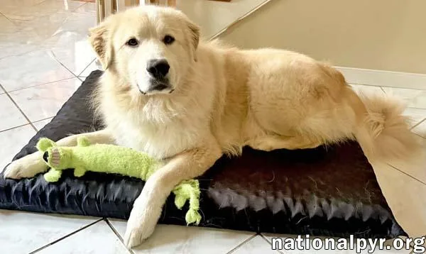 Martimus In Ct  thumbnail 2