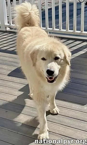 Martimus In Ct  thumbnail 3