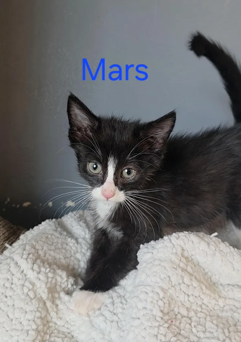 Mars thumbnail 3