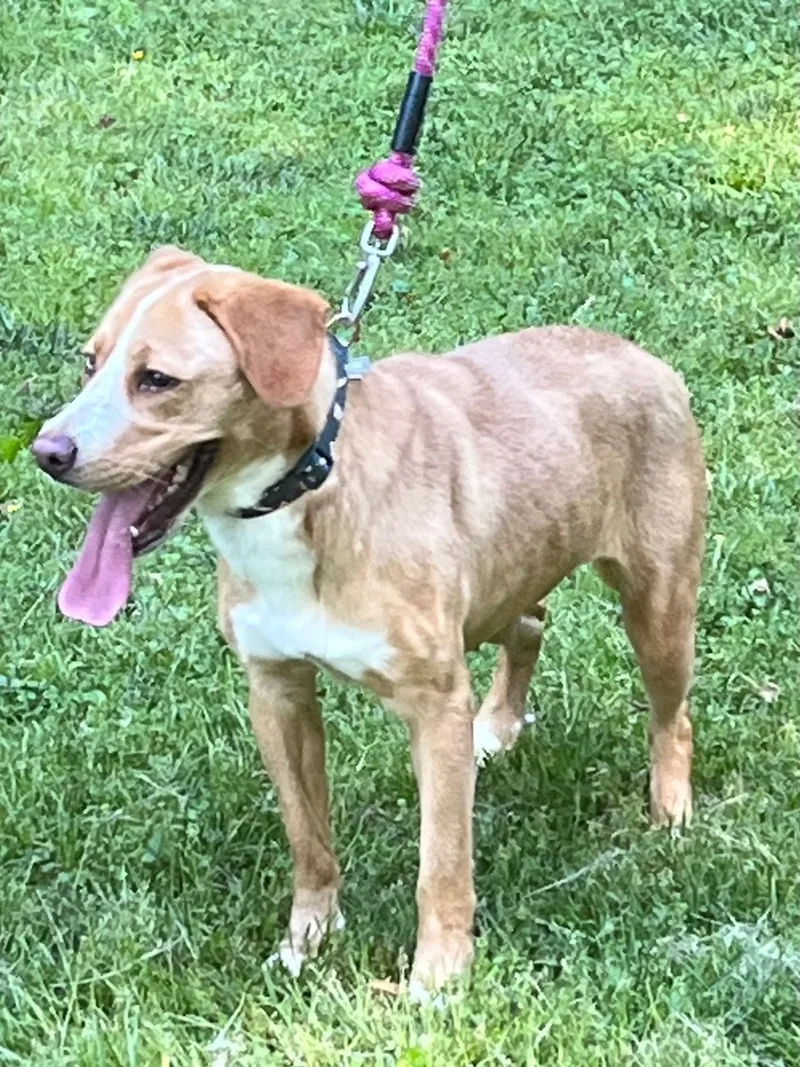 Serenity thumbnail 4