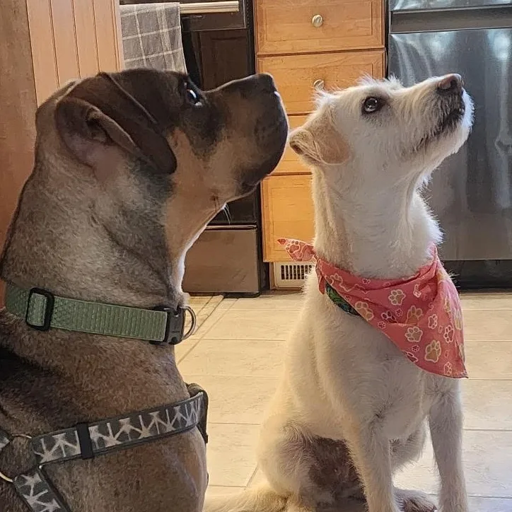 Sonny! Docile And Sweet! thumbnail 2