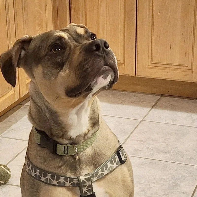 Sonny! Docile And Sweet! thumbnail 3