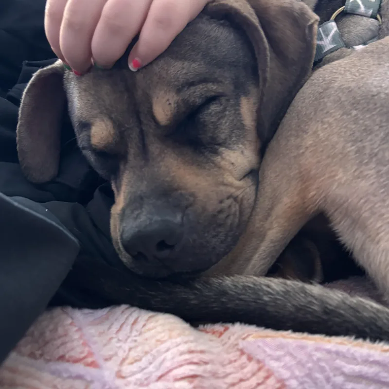 Sonny! Docile And Sweet! thumbnail 4