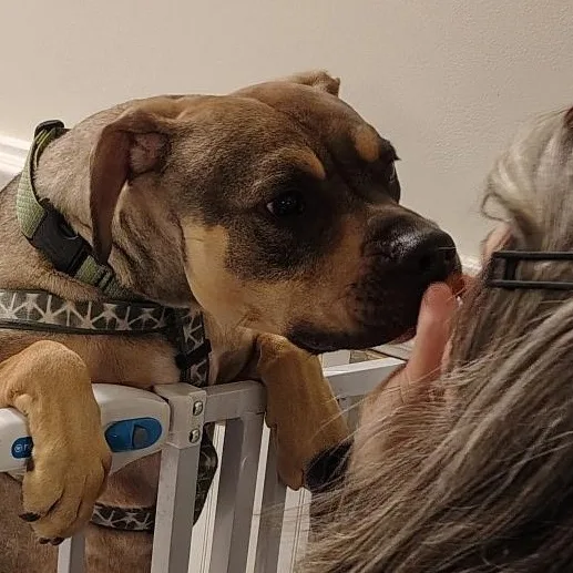 Sonny! Docile And Sweet! thumbnail 5