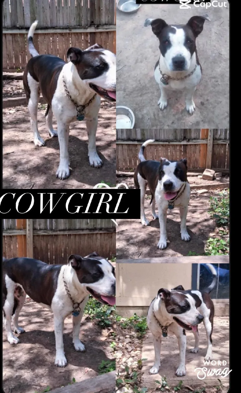 Cowgirl