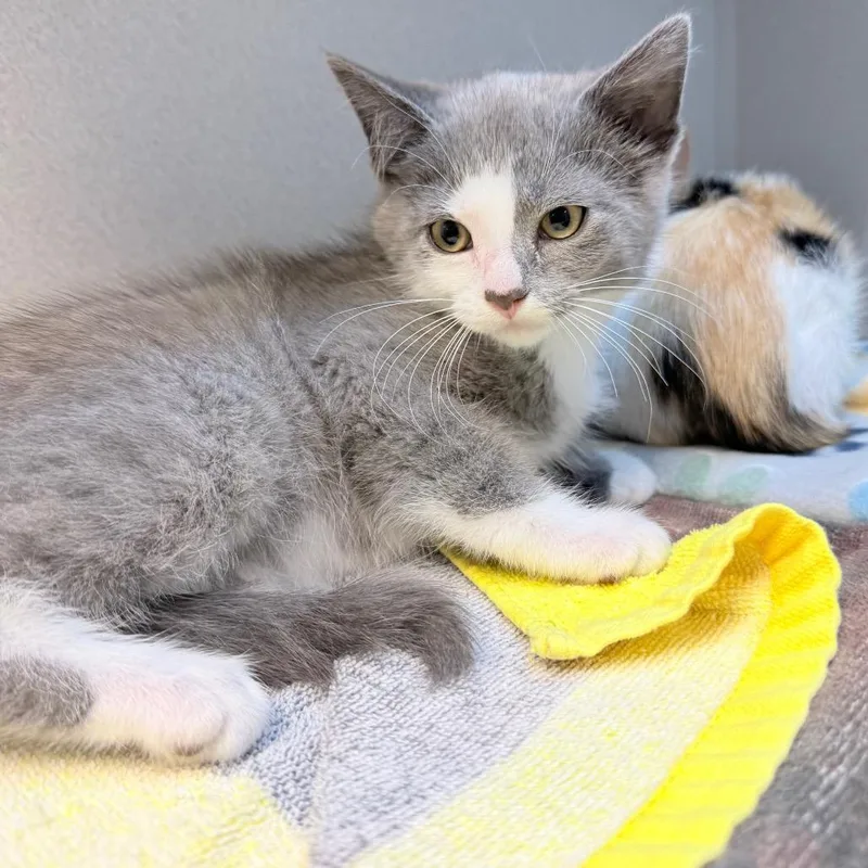Clint thumbnail 2