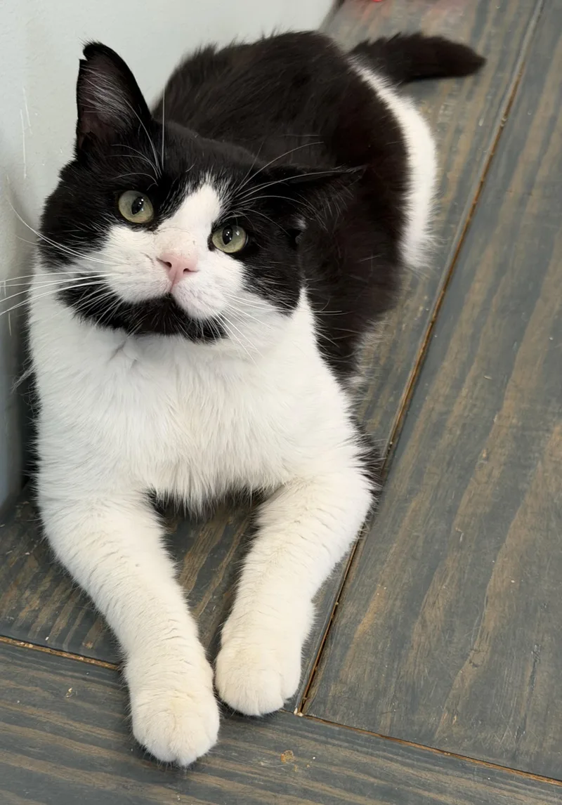 Ben