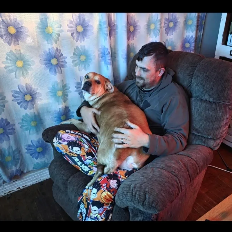 Holly thumbnail 3