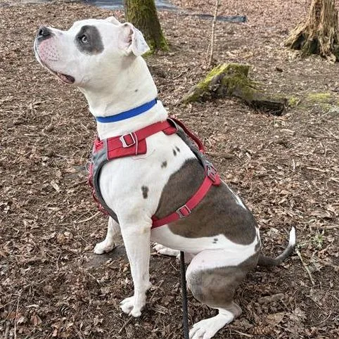 Rockefeller thumbnail 2