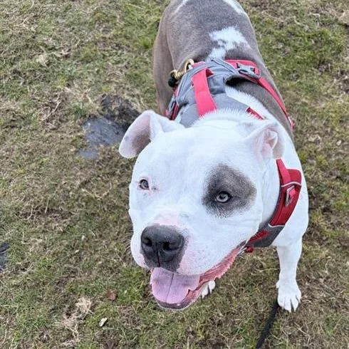 Rockefeller thumbnail 3