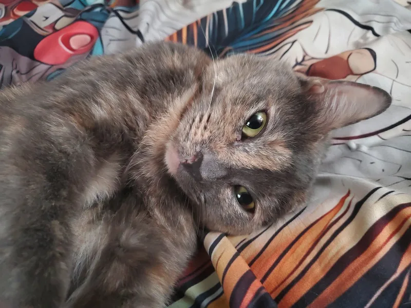 Karen thumbnail 3
