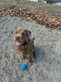 Max