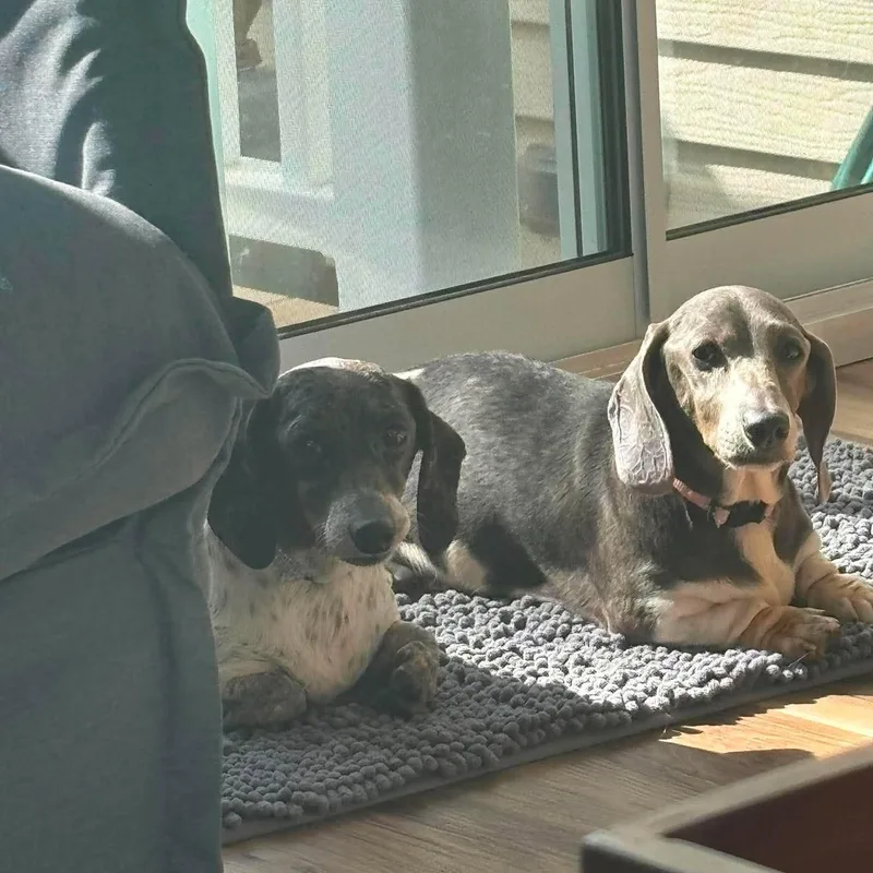 Juno And Galaxy thumbnail 2