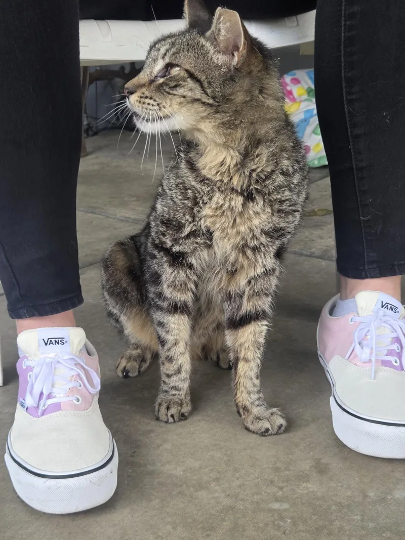 Tigger thumbnail 2