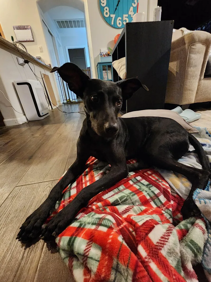 Rusty