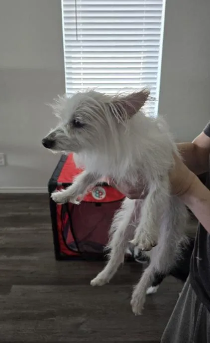 Natalie In Tx thumbnail 2