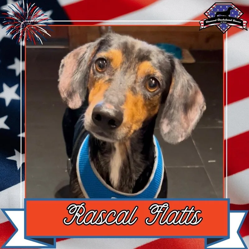 Rascal Flatts thumbnail 2