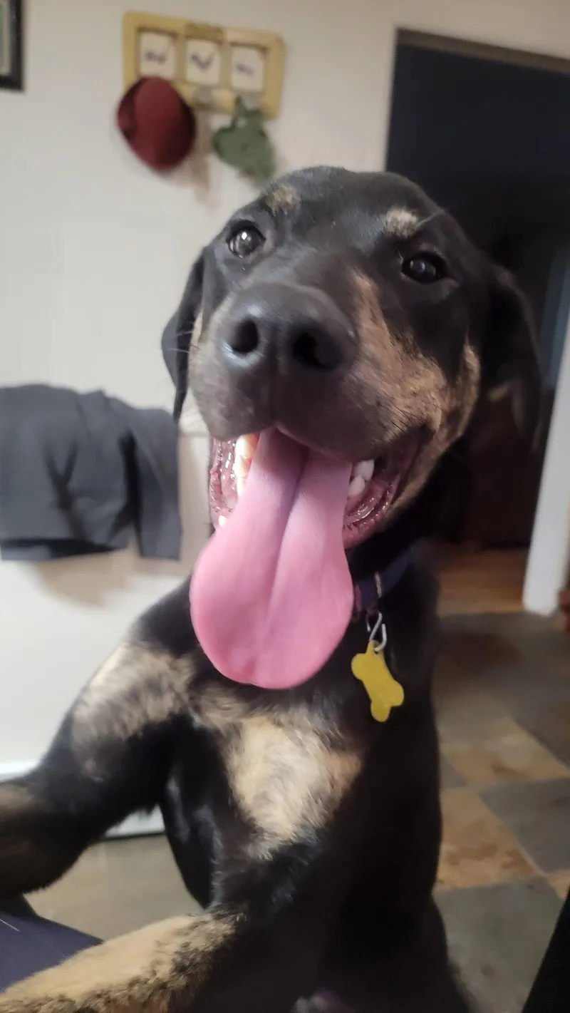 Wattsinn thumbnail 2