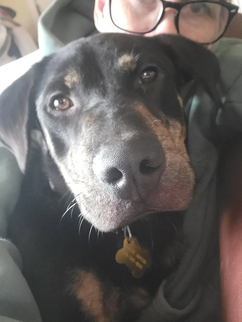 Wattsinn thumbnail 3