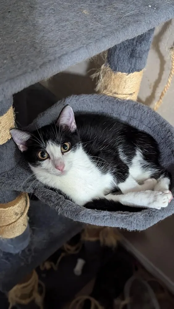 Sophie W thumbnail 3