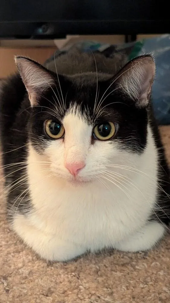 Sophie W thumbnail 4