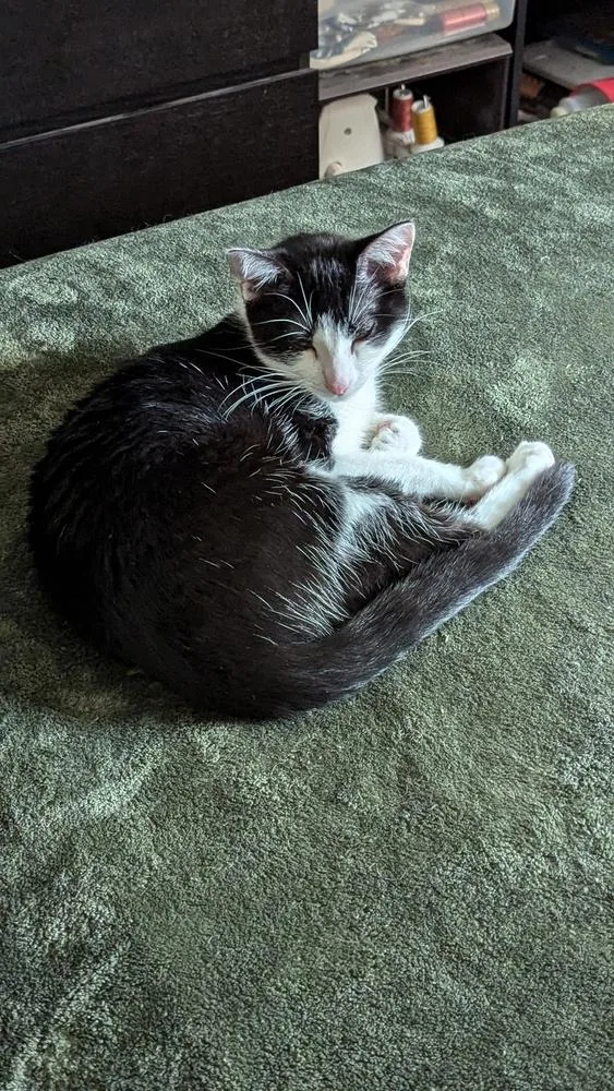 Sophie W thumbnail 5