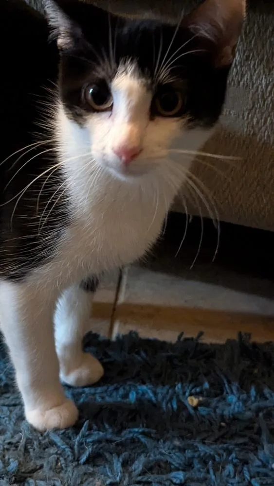 Sophie W thumbnail 6