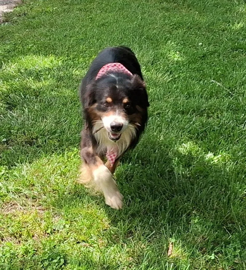 Max