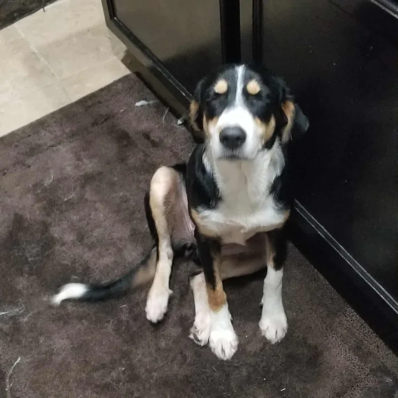 Lucy Fka Indigo thumbnail 4