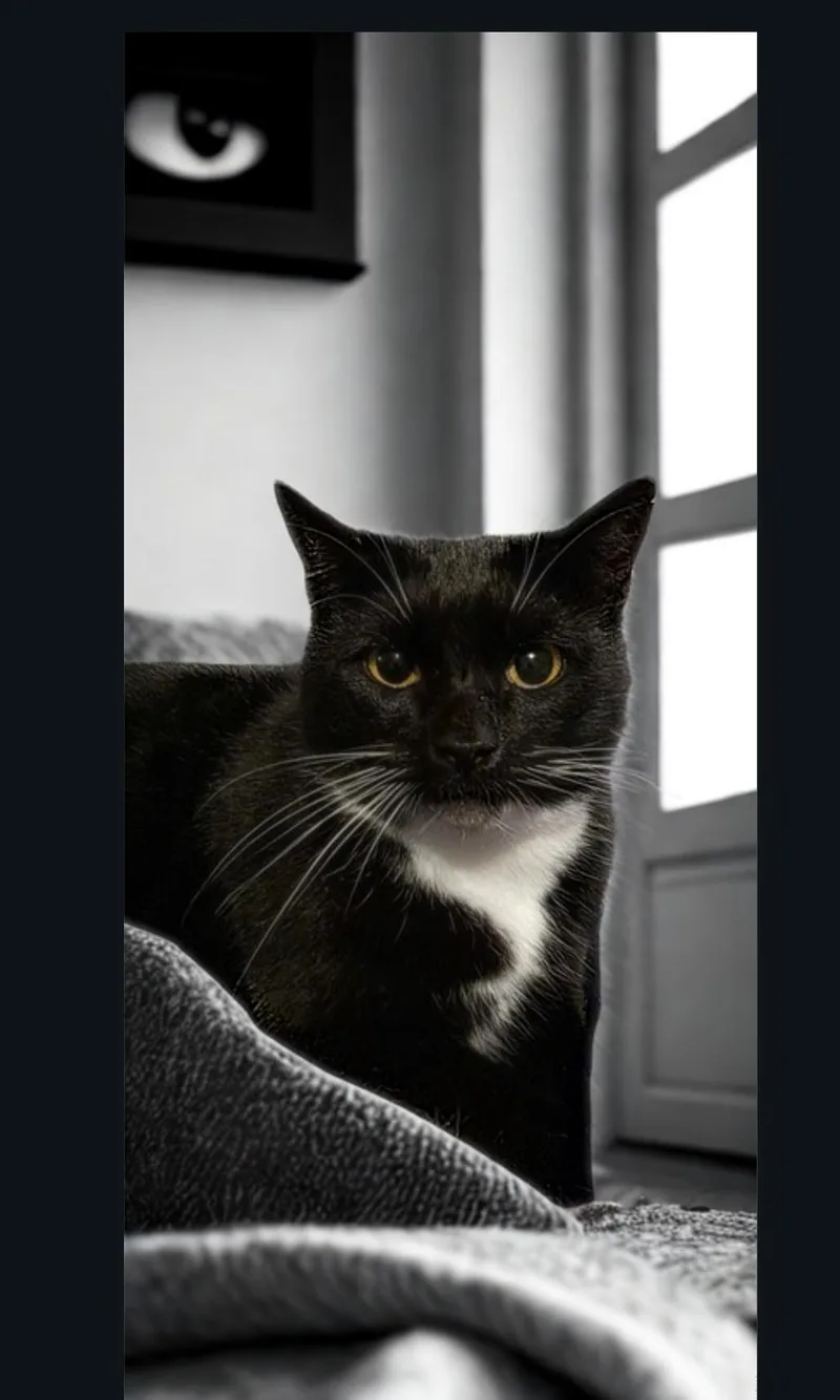 Sienna: A Timeless Beauty! thumbnail 2