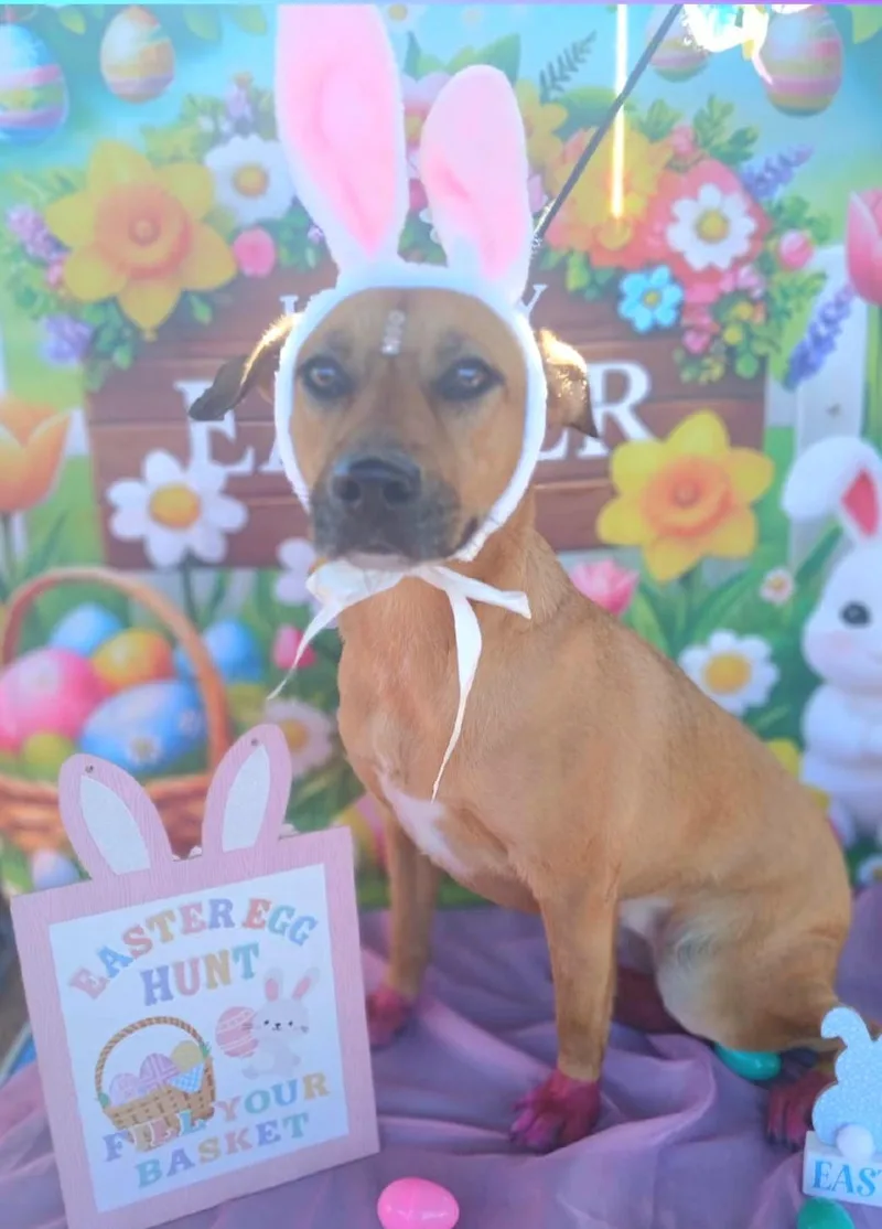 Morena "i Am Ready thumbnail 4