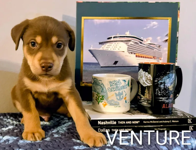 Venture thumbnail 2
