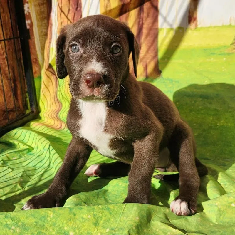 Gemma Jb thumbnail 2