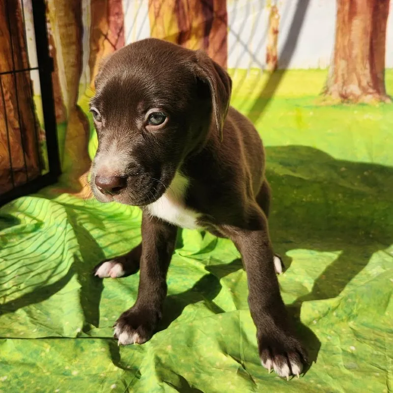 Gemma Jb thumbnail 3