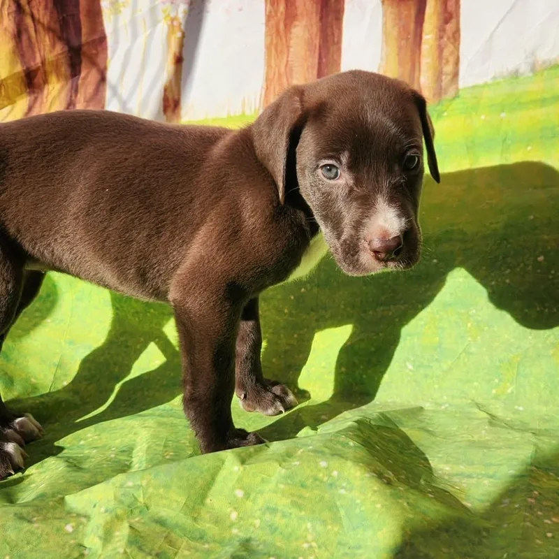 Gemma Jb thumbnail 5