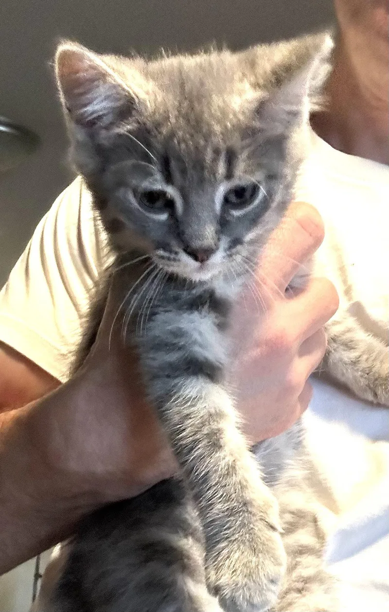 Thumper  Taft and thumbnail 3