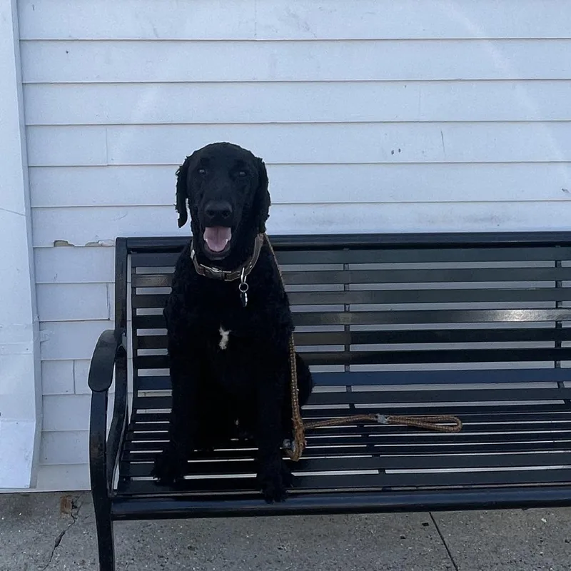 Vader