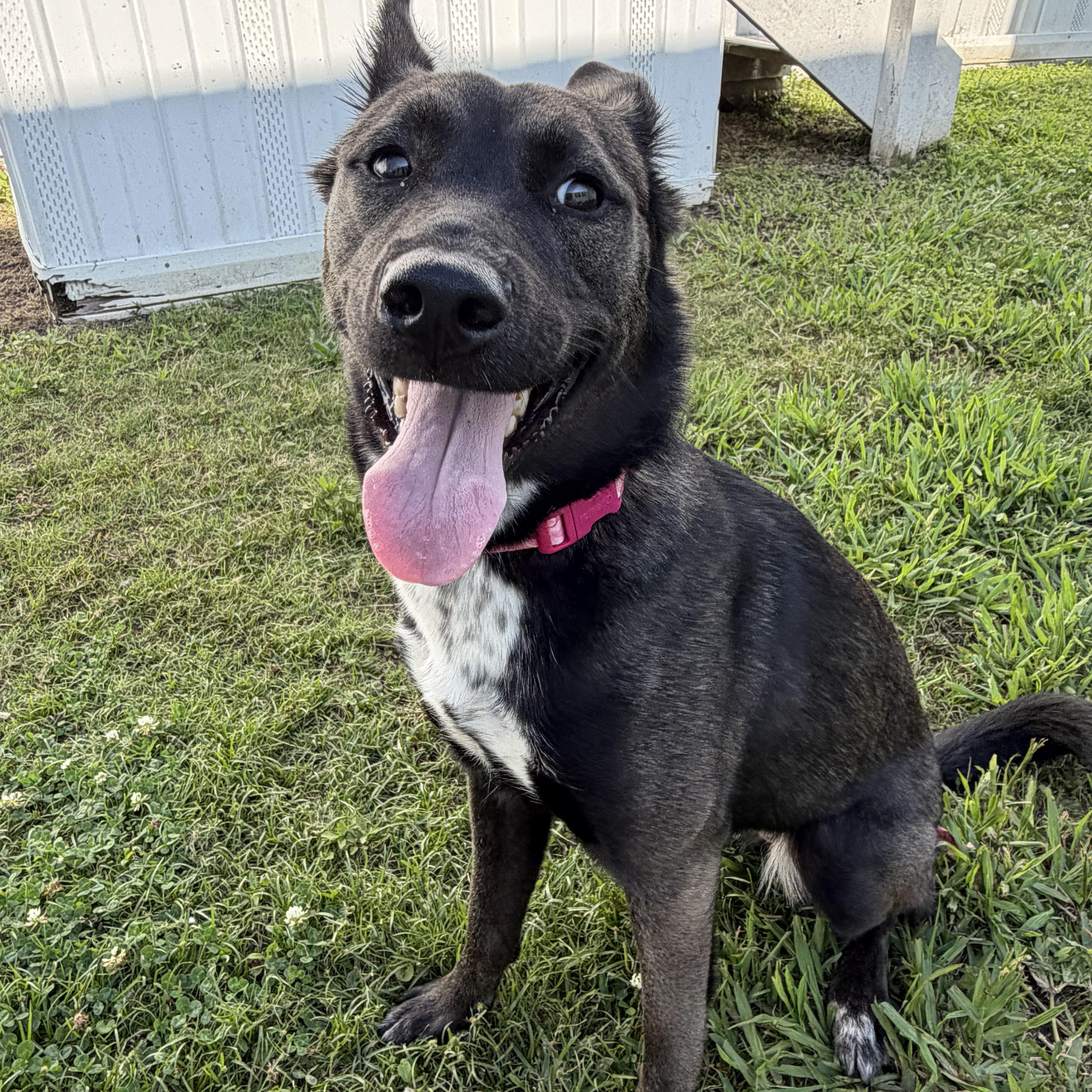 Nyx