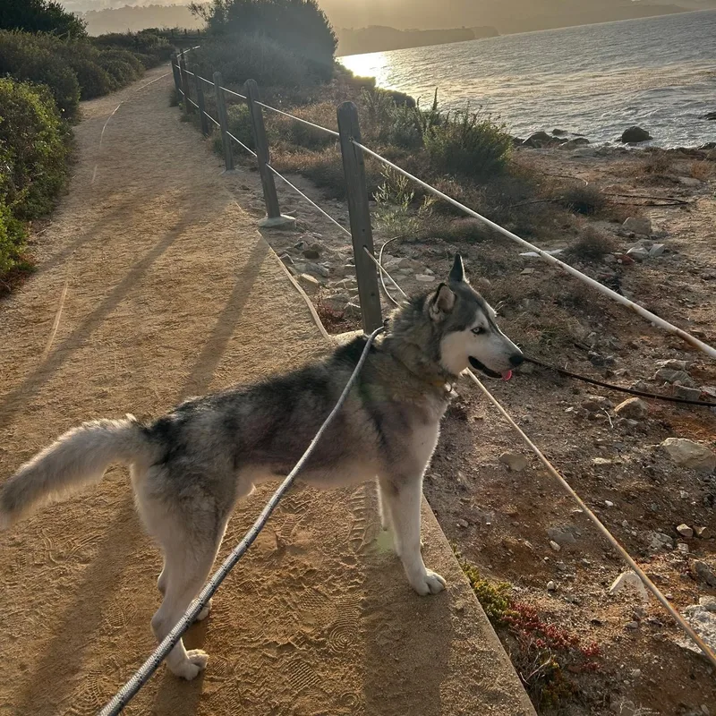 Aspen thumbnail 6