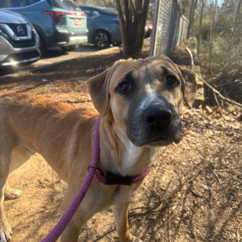 Franklin thumbnail 2