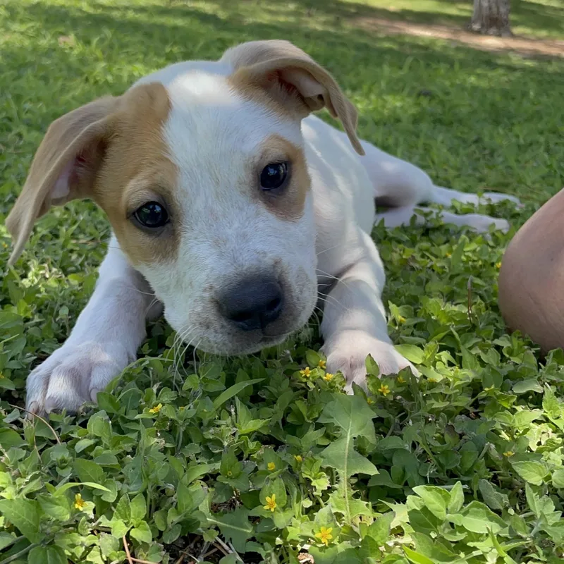 Ernie thumbnail 3
