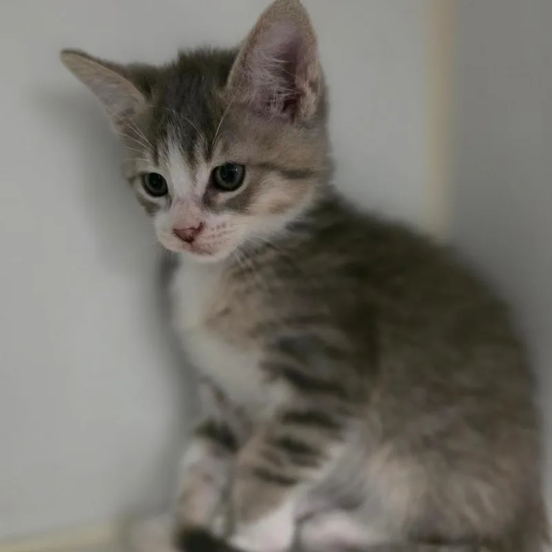 Sabrina thumbnail 3
