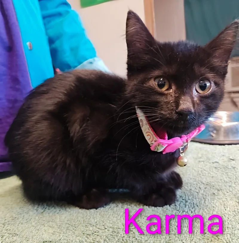 Karma