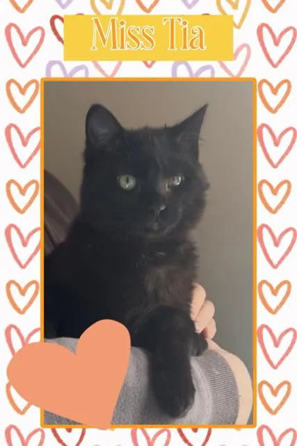 Tia