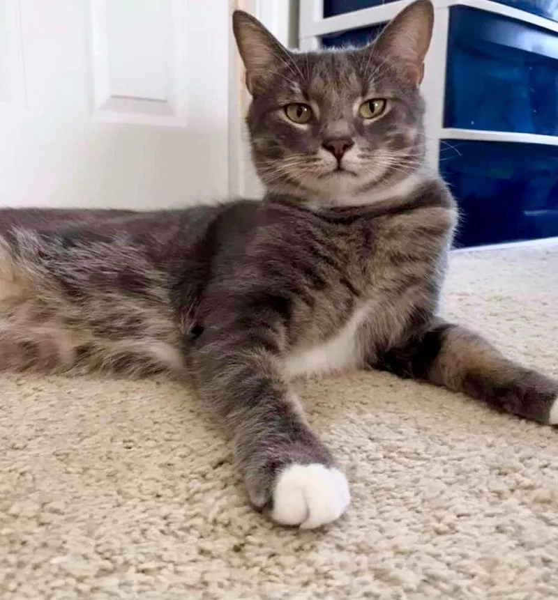 Diegobonded With Mystique