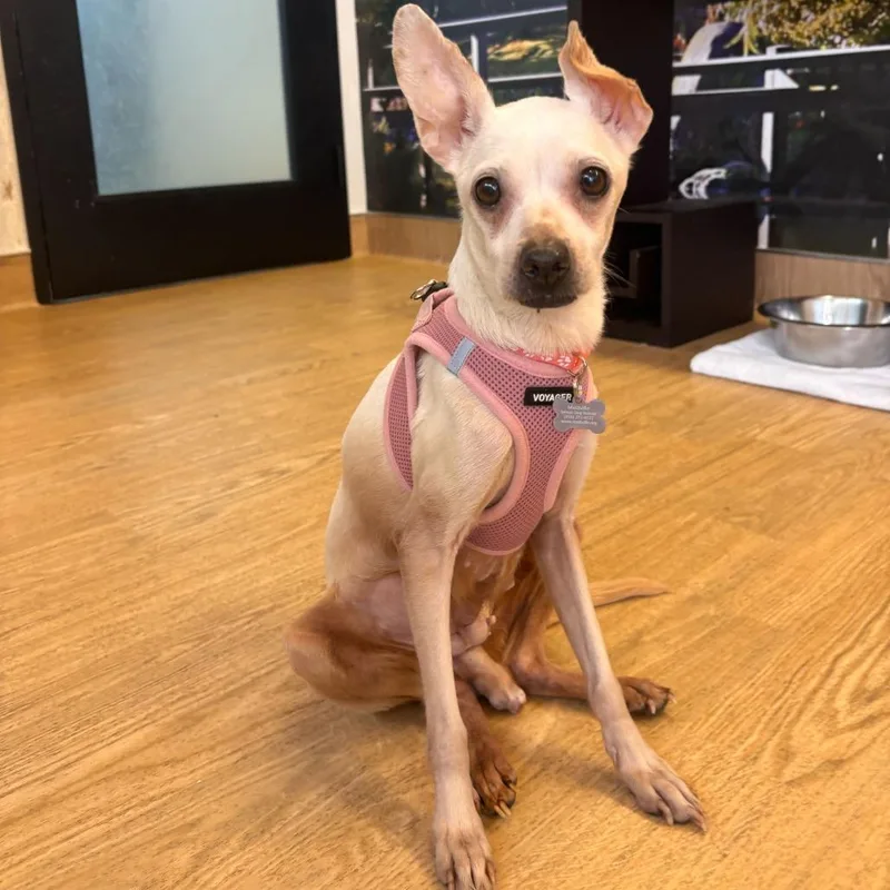 Party On thumbnail 2