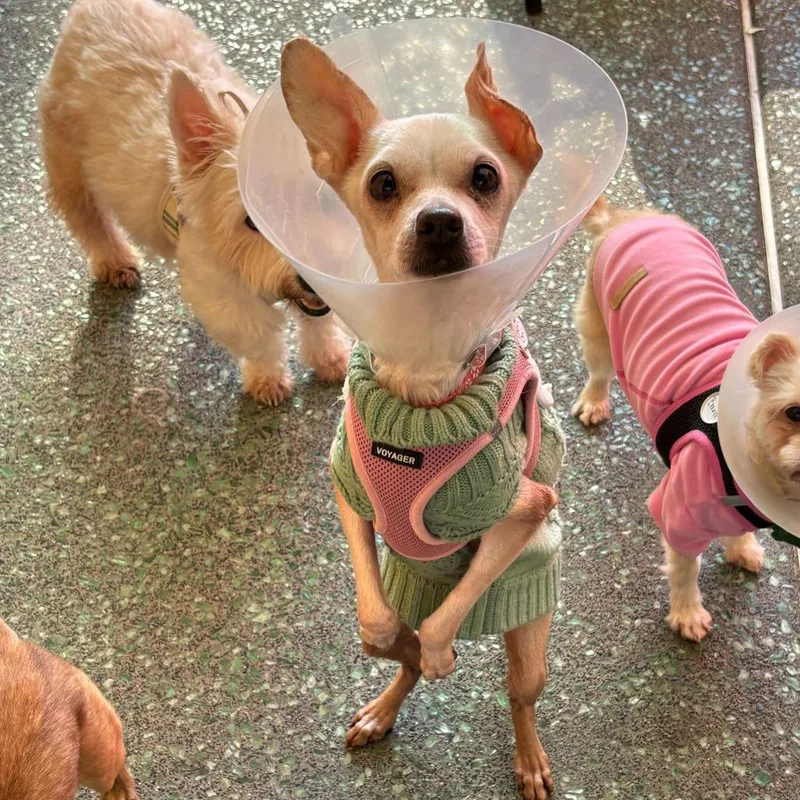 Party On thumbnail 3