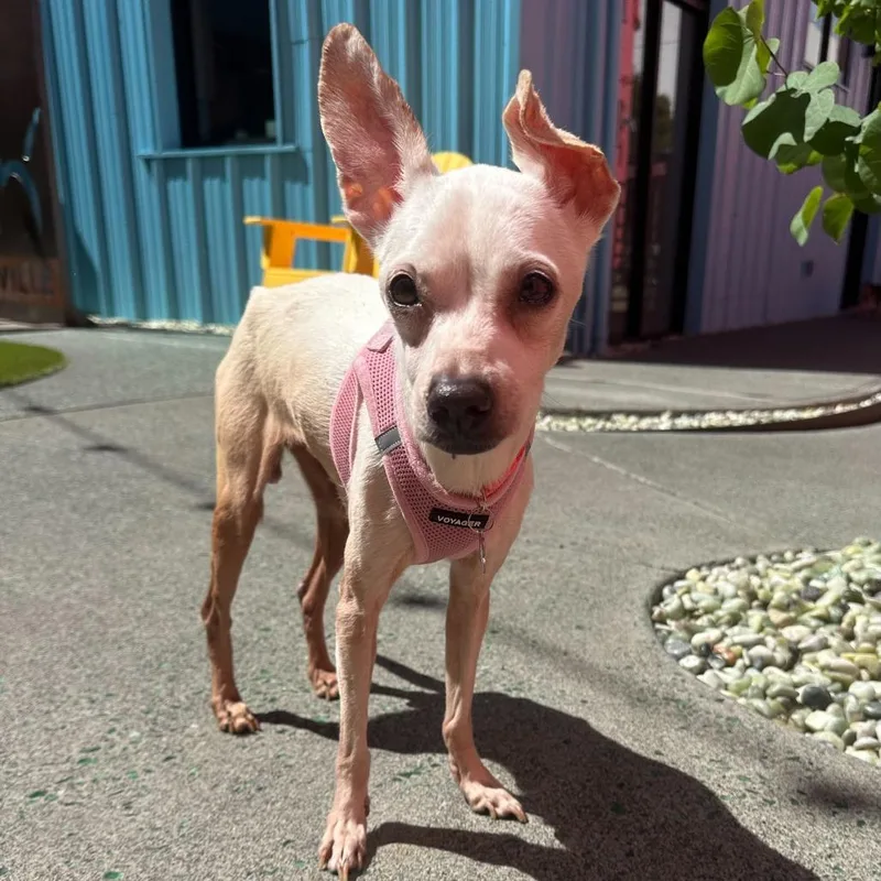 Party On thumbnail 4